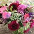 August in the garden