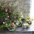 Somerset wedding flowers