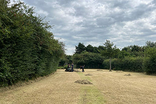 How and when we mow our perennial wildflower meadows