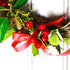 December news - Christmas countdown
