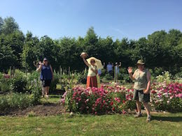 Volunteer at the flower farm