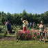 Volunteer at the flower farm
