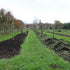 Flower farmers year - November