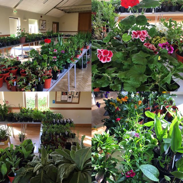 Big thank you for plant sale support