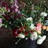 How about a bucket of mixed flowers delivered to your door?