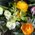 Tips for growing ranunculus