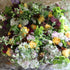 Parham House Garden Festival