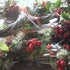 Christmas Willow Wreath Workshops