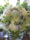 A Common Farm Flowers bride’s bouquet is expertly arranged by Georgie Newbery, using the very best of flowers grown on our farm, cut especially for you. Includes sustainably grown, unusual varieties, highlights and accents you cannot buy anywhere else: wildflowers, grasses, unusual perennials, highly scented flowers.