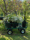 o have success with flowers from your garden first you need to know how to cut and condition them successfully.  Join Georgie for this online demo full of cutting and conditioning chat: when to cut flowers, how to cut flowers, what is searing, why cut at an angle, how to treat woody and sappy stems differently.