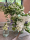 The online Bridal Party Flowers Demo is for those planning to create their own bridal flowers.  Florist Georgie Newbery will demo a handtied bride’s bouquet, bridesmaid’s posy and buttonhole. She’ll share tips for stem counts, design balance, conditioning, timing and getting the best from flowers on your wedding day. 