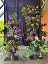 Join flower farmer florist Georgie Newbery for this online demo where she’ll demonstrate creating a broken floral arch for a wedding or event. Using sustainable mechanics, fresh garden flowers and foliage, and no floral foam, Georgie will demo making an arch so you can learn how to eventually create one of your own. 