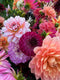 The Common Farm Flowers dahlia demos - growing dahlias and arranging dahlias - with Georgie Newbery