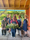 Join Georgie for one, two or three days of fun and learning about creating with flowers cut fresh from the garden.Using exclusively eco skills this no-floral foam course will take you through the details of cutting, conditioning, and arranging, and Day Three focuses on large floral installations.