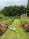 Biennial seed sown in summer will give you a great display of flowers through spring and early summer the following year. Join Georgie Newbery of Common Farm Flowers for this online demo, full of tipson sowing, pricking out and planting out biennials  and your garden next spring will be the envy of your neighbours.