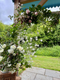 Join florist Georgie Newbery as she shows you how to create a stunning floral arch using beams and buckets and pieces of string as well as lovely flowers and foliage cut straight from her garden. 

This is a great way to make less expensive floristry and would suit people who love to get creative with what they have rather than build solid arch mechanics. 