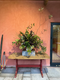 Join flower farmer florist Georgie Newbery of Common Farm Flowers for this demo where she’ll talk about the place foliage demands in floristry, recommends good varieties to grow, discusses cutting and conditioning, demonstrates with some lovely autumn foliage cut from her own fields that day. Foliage for floristry. 