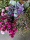 If you’re planning to cut and arrange your own wedding flowers join flower farmer and florist Georgie Newbery for this online demo showing you how to work out your stem count for cutting, your timings for conditioning and floristry, and top tips for getting the flowers done in plenty of time before the wedding.  