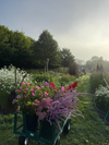 Join flower farmer and florist Georgie Newbery for this inspiring demo and she’ll take you through the principles you can apply when choosing shrubs and perennials for cutting, as well as give you great ideas and resources, and tips for managing your collection once it’s planted to ensure years of plenty of cut material throughout the season.