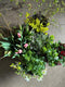 Learn how to make a gorgeous hand-tied bouquet with the classic florist’s twist in a live online demo with flower farmer florist Georgie Newbery.  Georgie is a very clear teacher and takes her time to make sure you can replicate every step she takes as she makes one of her classic bouquets with gorgeous spring flowers.