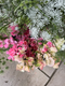 Join Georgie for this online demonstration, and you can get ahead with your sweet peas sowing for your next crop!


Georgie will&nbsp;chat through the varieties she's&nbsp;planning to grow&nbsp;this&nbsp;coming&nbsp;year, the best way to prepare the ground, how many to sow, how often to sow, how many flowers per plant you can expect, how to achieve long stems, and how long can you expect the plants to go on flowering.