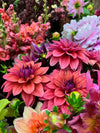 Join Georgie Newbery for a half day dahlia masterclass at Common Farm Flowers, including time out on the farm in the dahlia patch, andlearn all about what's involved in growing these beautiful flowers. Dahlia growing. Dahlia love. Dahlia workshop. 