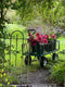 Join flower farmer florist Georgie Newbery of Common Farm Flowers for this hand tie demo using dahlias freshly cut from her own flower field. Royal Horticultural Society dahlia trials judge Georgie will share top tips for using dahlias in floristry, and will demonstrate the ‘florists’ twist’ used to make a hand tie.
