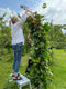 Join Georgie Newbery of Common Farm Flowers for three days of fun and learning about creating with flowers cut fresh from the garden.  Using exclusively eco skills this no-floral foam retreat will take you through the details of cutting, conditioning, and arranging, from tiny posies to large floral installations. 