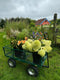 If you’re planning to cut and arrange your own wedding flowers join flower farmer and florist Georgie Newbery for this online demo showing you how to work out your stem count for cutting, your timings for conditioning and floristry, and top tips for getting the flowers done in plenty of time before the wedding.  