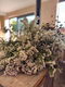 In the flowers for drying demo flower farmer Georgie Newbery will share her secrets to growing and drying flowers that will bring joy all year round. Imagine filling your home with beautiful everlasting flowers; wreaths, bouquets, garlands, and arrangements that keep their colour and charm long after summer has passed.