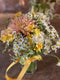 We've combined two of ourflower arranging demos - cutting & conditioning & hand tie demo so you can book them together at a reduced cost.  This is an ideal combination of sessions for people who want to learn the process of cutting and conditioning, alongside the mechanics of creating a hand tie bouquet.  