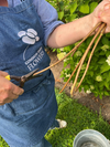 Imagine stepping into your garden this summer and being surrounded by beds filled with healthy, homegrown plants, all raised by you, for free.

In this practical online demo, Spring Propagating, flower farmer Georgie Newbery will guide you through the secrets of propagation so you can multiply your plants with confidence.