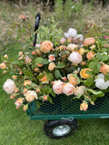 Book two of our flower growing workshops at a reduced cost, an ideal combination if you want to learn more about growing these two very popular flowers, ensuring a wonderful crop of roses, then dahlias, whether you are growing for profit or pleasure - from early in the season through to the very first frosts.   