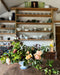 Join flower farmer florist Georgie Newbery as she shows you how to grow, harvest and arrange with roses. Find out about the collection of roses grown at Common Farm Flowers,  why she has chosen this mix. With a fun demo to finish, this is a session for people who want to grow flowers for cutting and garden floristry. 