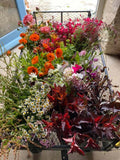 A bucket of seasonal, British grown eco friendly flowers available for collection or delivery to BA postcodes, for you to arrange as you please. Perfect for DIY wedding flowers, parties, thank yous. English country flowers from our cut flower farm in Somerset.