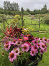 A bucket of seasonal, British grown eco friendly flowers available for collection or delivery to BA postcodes, for you to arrange as you please. Perfect for DIY wedding flowers, parties, thank yous. English country flowers from our cut flower farm in Somerset.