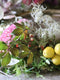 Using material gathered from her garden Georgie will show how to create a mossed wreath of breathtaking beauty, full of flowers, foliage and winter twiggery, which would make a wonderful tribute, but also give great pleasure hanging on a door, or dressing a winter table – perfect for Christmas! Christmas at Common Farm Flowers. 