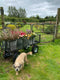 y flower farmer and florist Georgie Newbery on her Somerset flower farm.