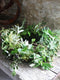 Using material gathered from her garden Georgie will show how to create a mossed wreath of breathtaking beauty, full of flowers, foliage and winter twiggery, which would make a wonderful tribute, but also give great pleasure hanging on a door, or dressing a winter table – perfect for Christmas! Christmas at Common Farm Flowers. 