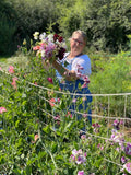 Join Georgie for this Friday afternoon demonstration, and you can get ahead with your sweet peas sowing for your 2021 crop!   Georgie will chat through the varieties she's growing this year, the best way to prepare the ground, how many to sow, how often to sow, how many flowers per plant you can expect, how to achieve long stems, and how long can you expect the plants to go on flowering. 