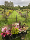 We are taking our popular Career Change Flower Farming workshop online.... Creating a flower farm and making a living from it is a dream held dear by many. Come on this day and flower farmer and florist Georgie Newbery will help turn that dream into a reality.