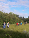 Intrigued to see where we grow our British flowers? Then join us at Common Farm Flowers for a garden tour of our seven acre Somerset flower farm, led by Somerset florist and flower farmer Georgie Newbery. 